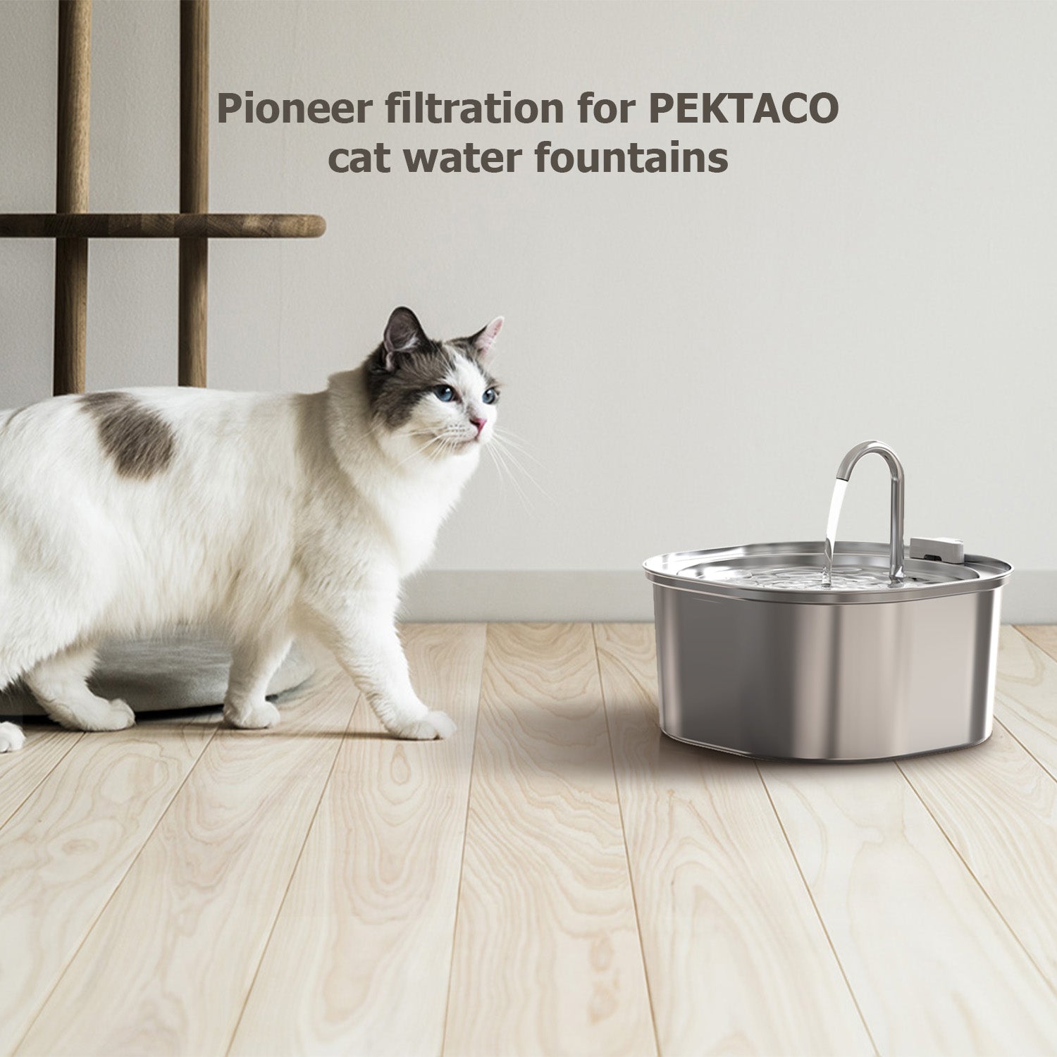 Cat drinking fountain on sale filters